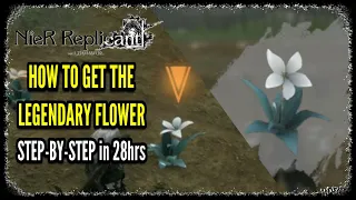 How to Get the Legendary Flower in NieR Replicant Legendary Gardener Trophy / Achievement Guide