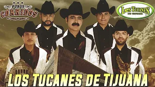 Las Mas Pedidas – Los Tucanes De Tijuana (Album Completo)