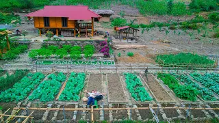 Idea Plant trees and grass to build a green farm  AMAZING fresh meat and vegetable garden at Sang Vy