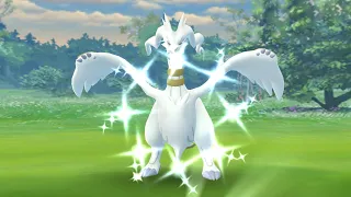 Shiny Reshiram caught in Pokemon GO December 2021 - Reshiram Excellent Throw