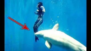 Дельфин потянул девушку за ногу , но зачем он это сделал?