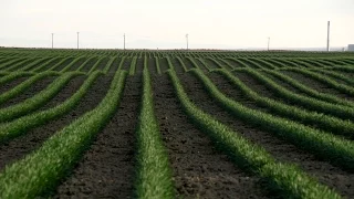 Drones and the Future of Farming | National Geographic