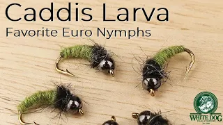 Caddis Larva Euro Nymph - Favorite Euro Nymphs - Fly Tying