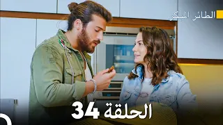 مسلسل الطائر المبكر الحلقة 34 (Arabic Dubbed)