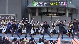 ダンスパワーSAKAI フィナーレ 登美丘高校ダンス部ほか akane演出 2018.8.26