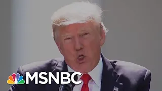 What Is President Donald Trump’s Stance On Climate Change? | Velshi & Ruhle | MSNBC