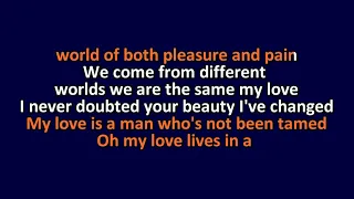Stevie Nicks - Beauty And The Beast - Karaoke Instrumental Lyrics - ObsKure