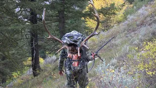 OTC Frank Church Wilderness Idaho Elk and Bear Hunt [4K]- It Is Perpetual