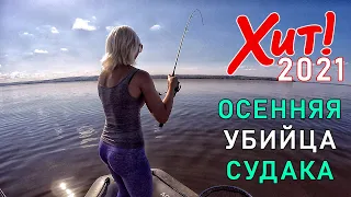 ОСЕНЬЮ ЛУЧШЕ ЭТОЙ ПРИМАНКИ НА СУДАКА НЕ НАЙТИ! Ловля судака осенью на джиг. Рыбалка на спиннинг 2021