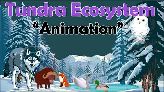 TUNDRA ECOSYSTEM | Biology Animation