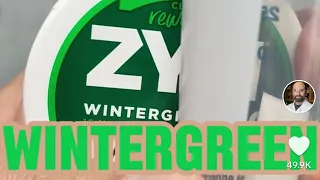 What's in the wintergreen Zyn Pouch?!? by Mass Spec Everything