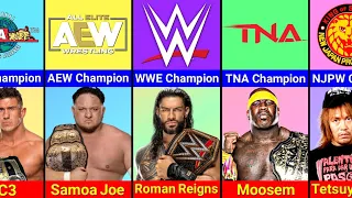 Different Wrestling Companies Current World Champions