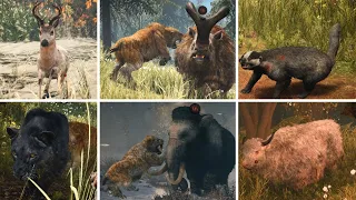 Far Cry Primal - Охота - Редкие животные - Все животные