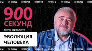 Что бы было, если бы человек произошел не от обезьяны? Узнай за 900 секунд