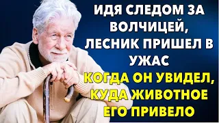 📗Жизненные истории 📕Шел следом за ней, но чуть не умер от увиденного... 📒Истории из жизни