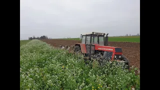 Orka poplonu, voogel noot prezentacja pracy,  ZETOR 16245 rzodkiew oleista