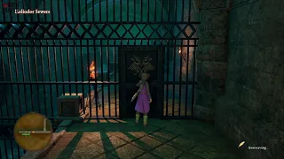 [Dragon Quest XI] Mini Medal - Heliodor Sewer