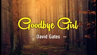 Goodbye Girl - KARAOKE VERSION - as popularized by David Gates