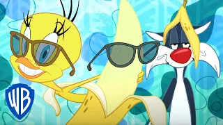 Merry Melodies: 'Yellow Bird' ft. Tweety Bird | Looney Tunes SING-ALONG | WB Kids