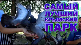 Самый большой парк в Крыму Что творят голуби в Гагаринском парке Симферополя