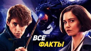 Фантастические твари и где они обитают - Все факты о фильме 2016 Вселеная Гарри Поттера продолжается