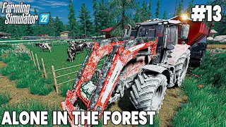 Building Cow Posture & Spreading Lime - Farming Simulator 22 Timelapse