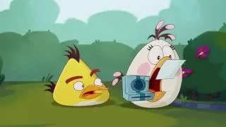 Сердитые птички Angry Birds Toons 3 сезон 24 серия ФотоЧАКи все серии подряд