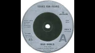 Tears For Fears Mad World Lyrics