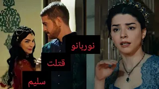 هل قتلت نوربانو السلطان سليم ؟ كيف مات السلطان سليم فعلاً ؟