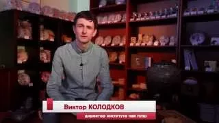 НОВАЯ ЧАЙНАЯ ШКОЛА