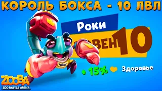 КАЧАЕМ 10 УРОВЕНЬ!!! КОРОЛЬ БОКСА - СКОРПИОН РОКИ В ИГРЕ ZOOBA