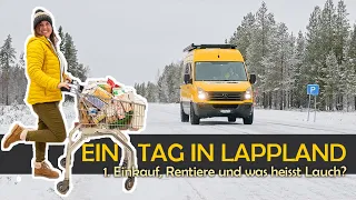 SO LEBEN wir in LAPPLAND🇸🇪・Rentiere und GROSSEINKAUF・Winter in Nordschweden