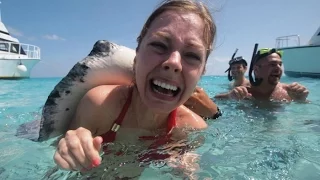 Лучшие приколы 2016 funny fails 18+ подборка смешных видео