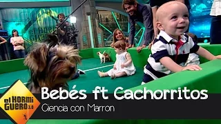 Michelle Jenner se emociona con los bebés y cachorritos de Marron - El Hormiguero 3.0