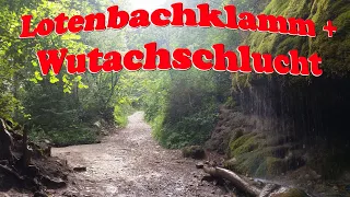 Tour von Bonndorf zur Lotenbachklamm und durch die wildromantische Wutachschlucht 🌲☀✌🌿🚶