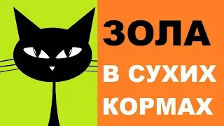 Зола в сухих кормах для кошек — что это и с чем ее едят