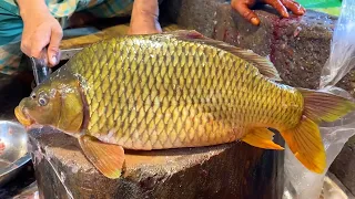 Amazing Big Carp Fish Cutting Live In  Fish Market | Fish Cutting Skills