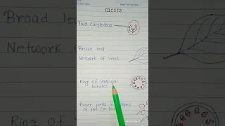 Character of Dicot plant . #biology #shorts