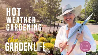 Hot Weather Gardening Tips and Christmas In July