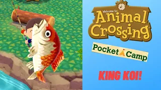Catching ULTRA RARE KING KOI in Animal Crossing Pocket Camp! 🎣