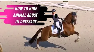 How Dressage Trainers Cover Up The Abuse At The Riding Stable - Real World Examples