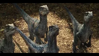 Owen Feeds Dinosaurs Blue, Charlie, Delta and Echo - Jurassic World ( 2015 )