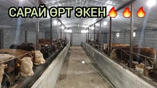 Тыкырайта салыныптыр