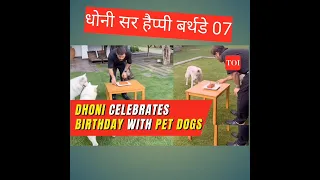 Ms dhoni celebration his birthday with his dog #msdhoni #dhoni #mahi #msd #shorts #ytshorts