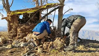 Building a beautiful hut among four oak trees # Survival camp in nature