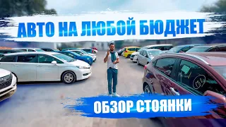 Цены на авто Октябрь 2022 🔥Stepwgn, Wish, Fit, Prius, Freed, Crossroad, NV200, C-HR, Levorg, Vezel