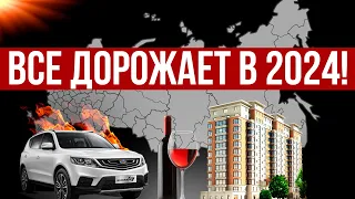 УСПЕЙ КУПИТЬ ЭТО! Что дорожает в 2024? Товары, недвижимость, продукты, авто, услуги