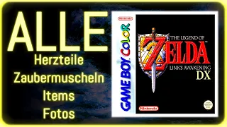 Der PERFEKTE Link's Awakening Spielstand!