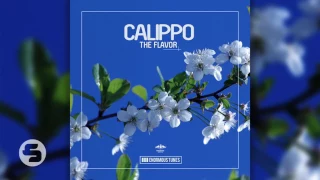 Calippo - The Flavor (Original Club Mix)