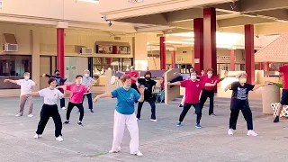 Form 24 Yang Tai Chi Sifu Lok Leng Chu and Laura Yee leading class in practice